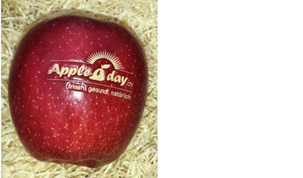 Appleaday Logo Früchte 